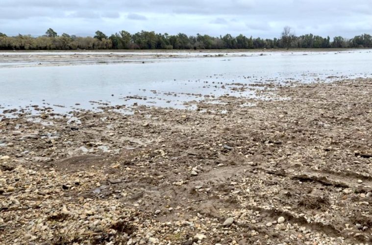 Ayudas extraordinarias para para el sector agrario y pesquero por las borrascas en Andalucía y Extremadura
