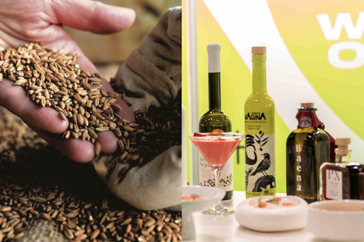 Este año, World Olive Oil Exhibition y Origin Natura se celebrarán conjuntamente en Madrid