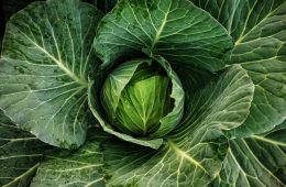Recetas con verduras de Europa del Este