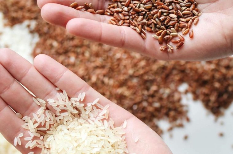 Tras dos años de sequía, la producción de arroz se recupera