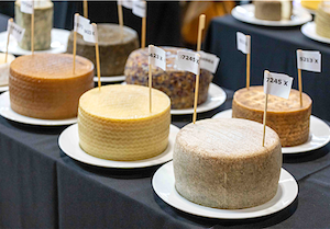 Cien quesos competirán como finalistas en GourmetQuesos 2026