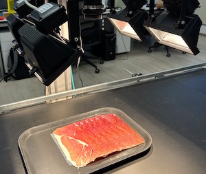 Imagen hiperespectral para mejorar el control de calidad y la seguridad alimentaria en productos cárnicos 