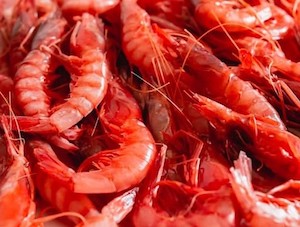 Modificaciones en las cuotas de pesca de gamba roja en el Mediterráneo 