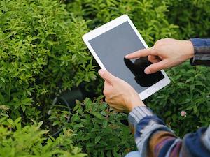 Pueblos en Clave Digital, competencias tecnológicas para la población rural