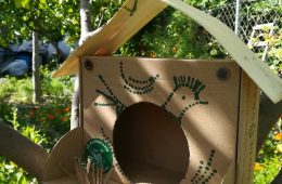 Cajas de huevos que, tras utilizarse, contribuyen a la biodiversidad