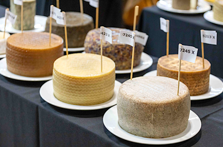 Cien quesos competirán como finalistas en GourmetQuesos 2026