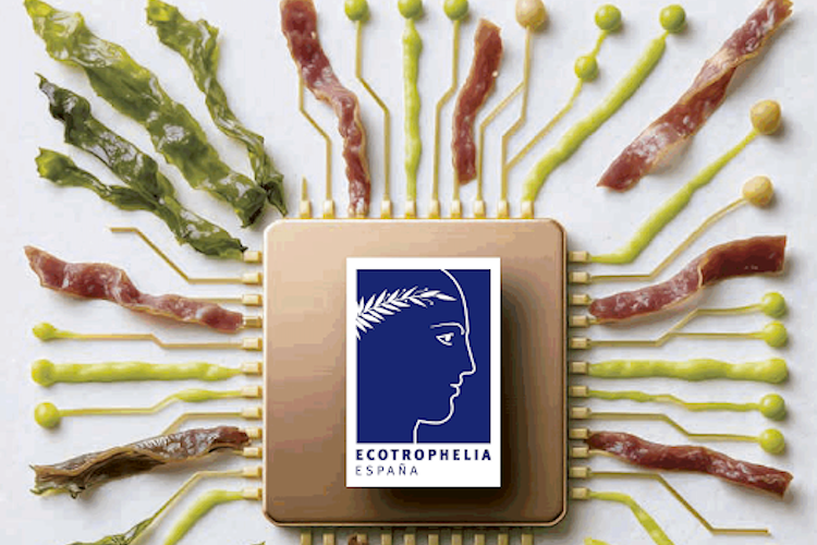 Finalistas de los Premios Ecotrophelia a la innovación alimentaria