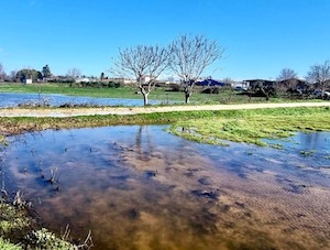 Abierto el plazo para aceptar las ayudas por los daños causados por las borrascas