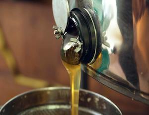 La UE reduce la producción de aceite de oliva prevista para la actual campaña