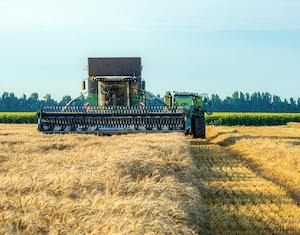Los líderes mundiales del sector del cereal analizan en Sevilla el impacto geopolítico e incremento de costes