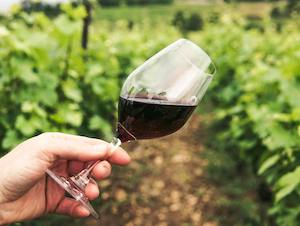 Abierta la inscripción al Concurso de Vinos de Pequeñas Denominaciones