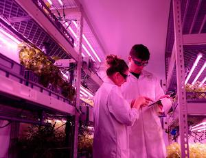 La agricultura y la alimentación en el Horizonte 2040. Retos y previsiones