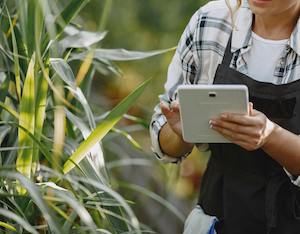 Nuevo sello oficial Spain AgrifoodTech para empresas innovadoras del ámbito agroalimentario