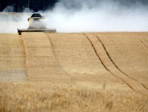 Ya se conocen los módulos para agricultores y ganaderos, con importantes reducciones en el IRPF