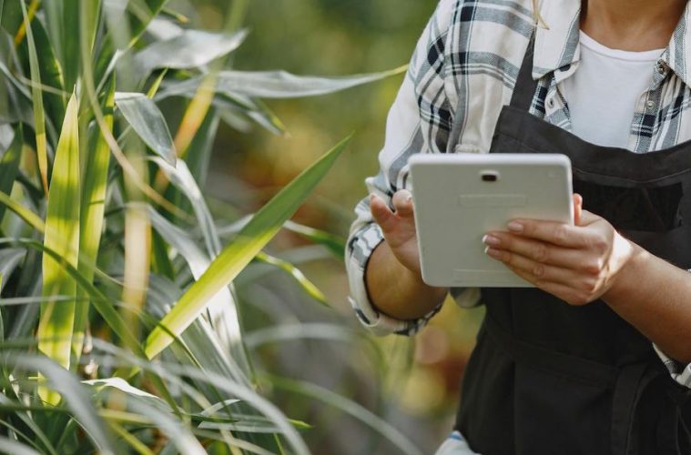 Nuevo sello oficial Spain AgrifoodTech para empresas innovadoras del ámbito agroalimentario