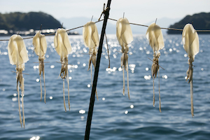 El fotógrafo español Albert González, entre los ganadores de los World Food Photography Awards