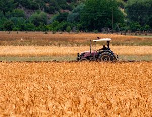 El tractor, presente en la mayoría de siniestros en el sector agrario