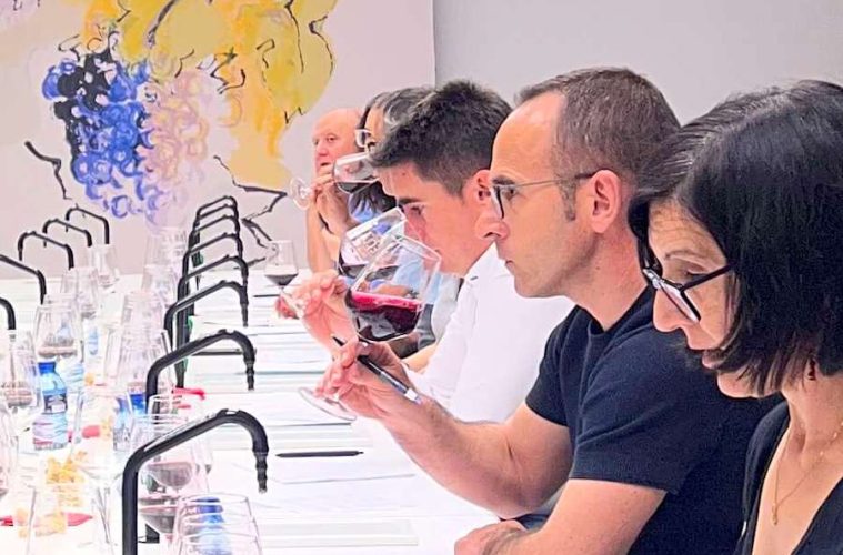 La cosecha 2025 de los vinos de Yecla, calificada como Muy Buena (Foto DOP)