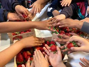 Escolares aprendiendo a comer sano