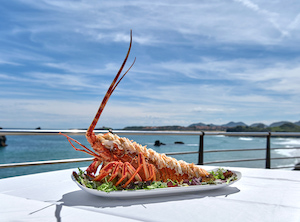 La langosta de Isla, un tesoro gastronómico del Ecoparque de Trasmiera
