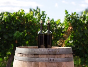 Los mejores vinos de pequeñas Denominaciones 2026