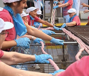 Superado el anterior récord Guinness con una longaniza de Graus de 915,86 metros