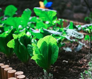 Reacciones del sector a la revisión del reglamento europeo sobre sobre protección de la producción ecológica