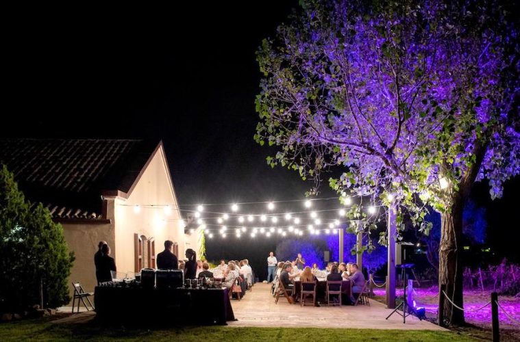 Bodegas abiertas con actividades para disfrutar de la vendimia del cava