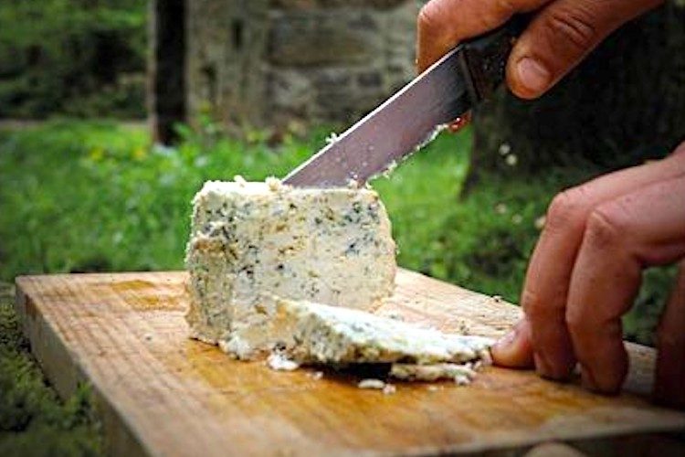 El Certamen Cabrales espera superar en la subasta los 37 000 euros por el queso ganador (Foto DOP)