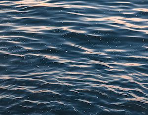Un proyecto avanza en la eliminación de los microplásticos del agua