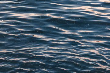 Un proyecto avanza en la eliminación de los microplásticos del agua