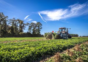 El Gobierno mantendrá el apoyo para compensar el sobrecoste del gasóleo agrícola