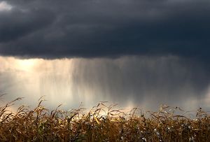 La incertidumbre meteorológica y geopolítica acelera la inversión de las empresas en adaptación climática
