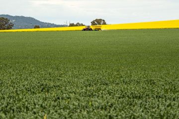 Córdoba, sede de la Conferencia iberoamericana de ministras y ministros de Agricultura y Pesca