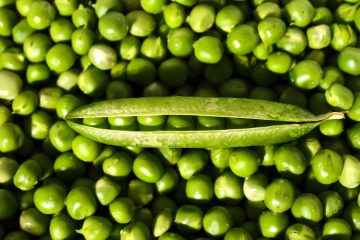 La UE impone medidas antidumping a las importaciones de proteína de guisante de China