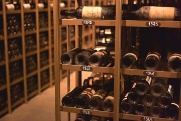 La gran aventura del vino, desde sus orígenes hasta la actual enogastronomía