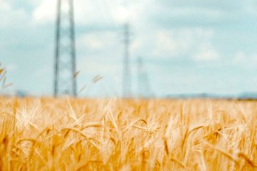 Las tensiones geopolíticas y la crisis climática podrían elevar más los precios mundiales de los alimentos