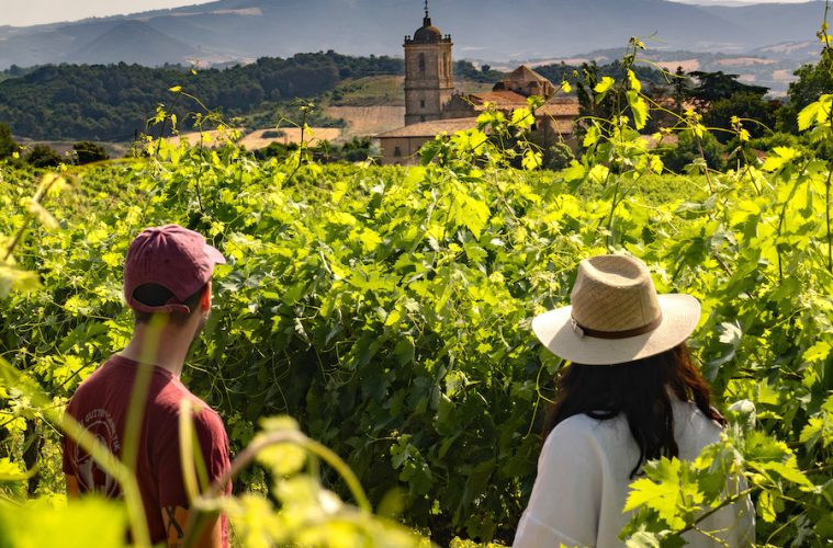 Perfil de quienes visitan las diferentes Rutas del Vino de España (Foto Acevin)