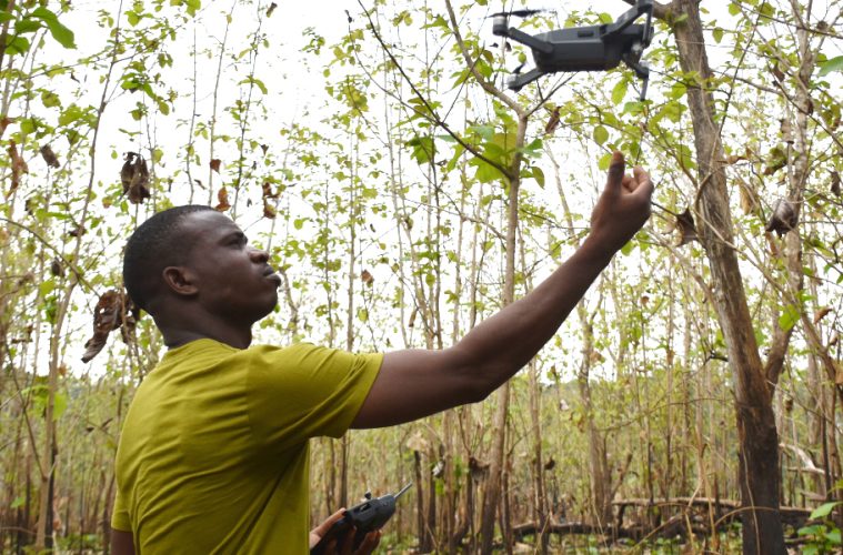 Preparando el Día Mundial de la Alimentación, innovar hoy para nutrir mañana (Foto FAO)