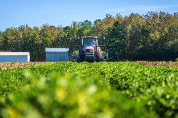 Prorrogadas hasta final de año las ayudas extraordinarias al gasóleo agrario y pesquero