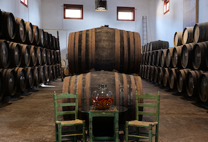 Condado de Huelva y León, dos nuevas Rutas del Vino de España