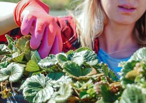 Estudio sobre el liderazgo femenino en el campo: retos y oportunidades
