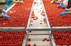 Lo que la industria alimentaria pide a los partidos en las próximas elecciones del 29N