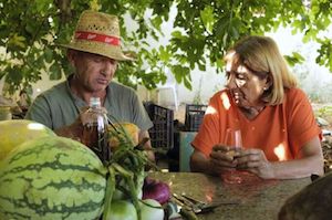 Los cortometrajes que podremos ver en Gastro Cinema, en Alicante 