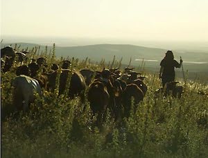 Nuevo Ciclo Nacional de Cine y Mujeres Rurales, presencial y online