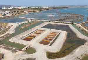  Recuperar una antigua salina para ayudar a combatir el cambio climático