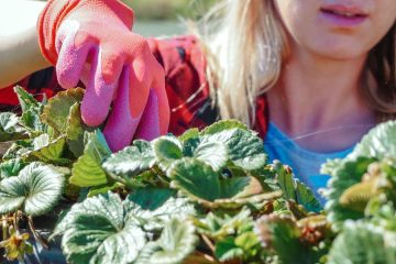 Estudio sobre el liderazgo femenino en el campo: retos y oportunidades