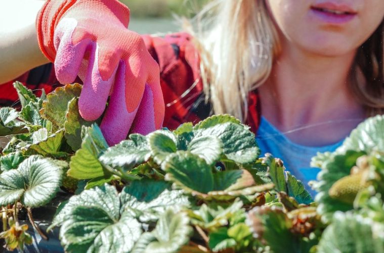 Estudio sobre el liderazgo femenino en el campo: retos y oportunidades
