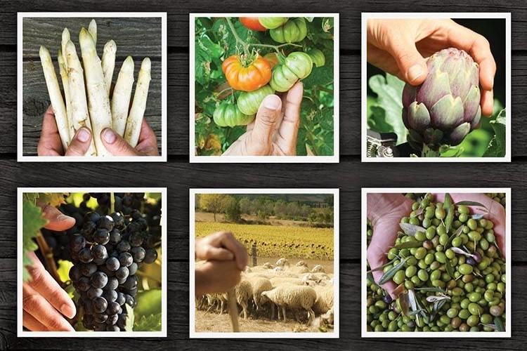 Alimentos navarros certificados