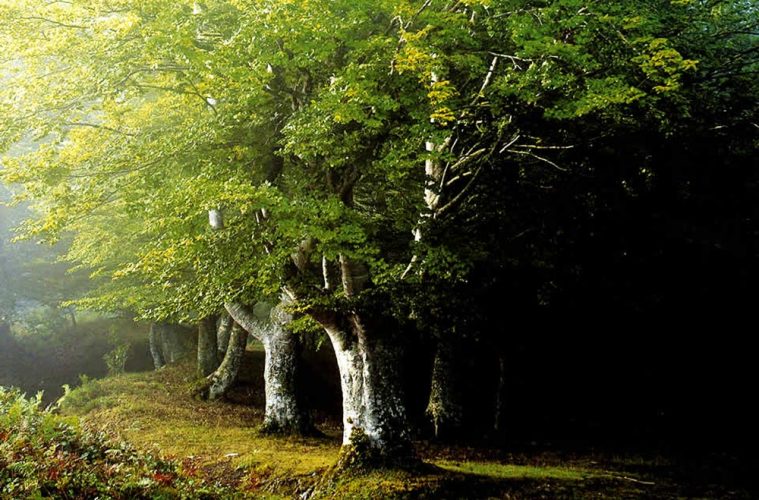 Custodia del Territorio. Foto Fundación Biodiversidad